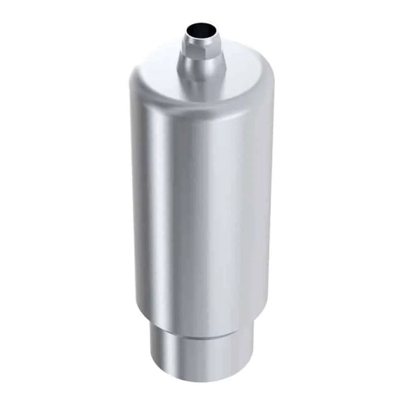 Arum Premill Blank 10 mm Dentium pilier titane